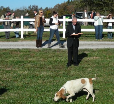 Opening Hunt an Blessing of the Hounds at Valley Green Farm October 16th