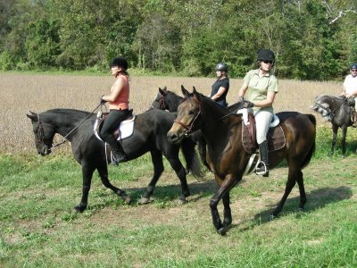Come as you are hunt September 25th at Valley Green Farm