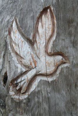 Peace 4  all Now