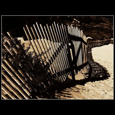 ... Fence and shadow !!!