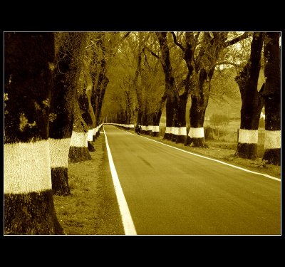 ... A wonderful road ... II