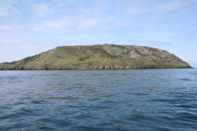 Bardsey island (Avalon)