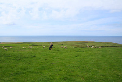 Bardsey island (Avalon)