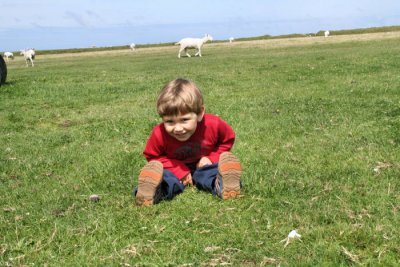 Bardsey island (Avalon)