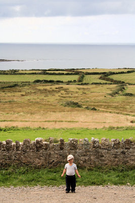 Bardsey island (Avalon)