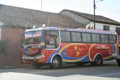 Bus with sheeps on the roof