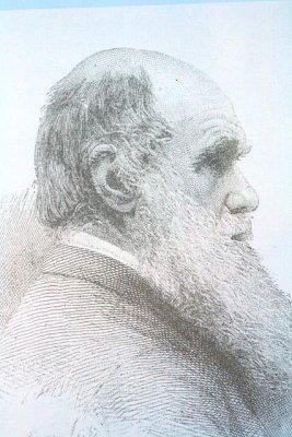 Charles Darvin