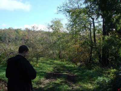 In the Dewitt orchard on the north border of the property