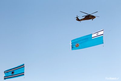 D44D7343.jpg