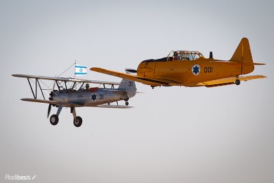 D44D7377.jpg