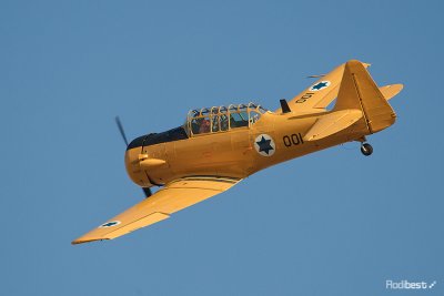 D44D7516.jpg