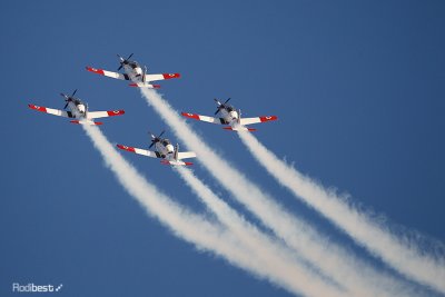 D44D7866.jpg