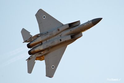 D44D8172.jpg