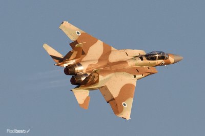 D44D8429.jpg