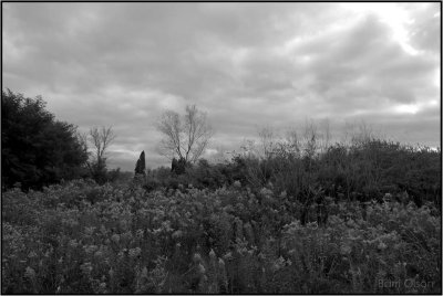 Cloudy Day in October