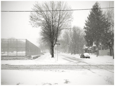 Behind the High School - East Side #48 Madison, Wisconsin