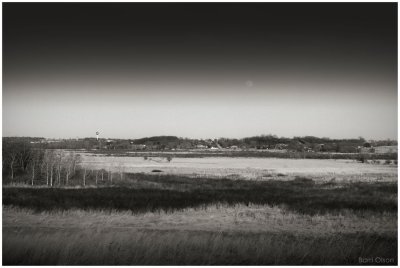 Daymoon over the Marsh