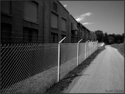 Barbed Wire