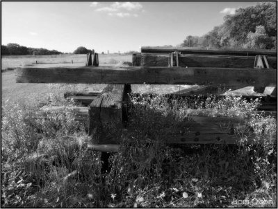 Old Beams in a Pile