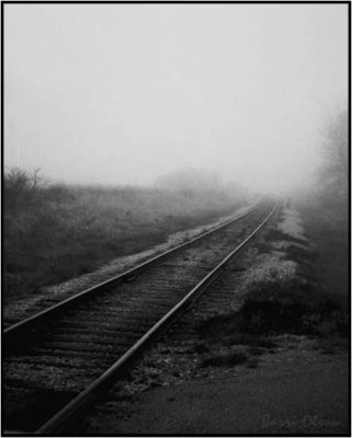 Tracks in the Fog 8X10