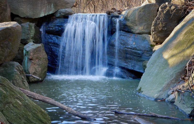 Central-Park02.jpg