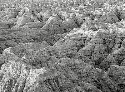 _MG_8344.jpg