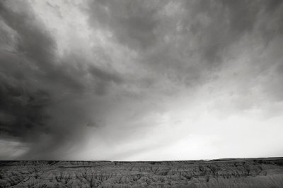 _MG_8764.jpg