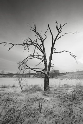 _MG_9083.jpg