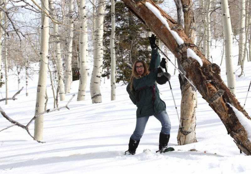 If the tree falls on you , do you here it?