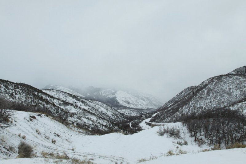 Payson Canyon