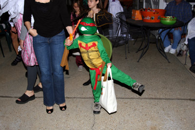 jake turtle