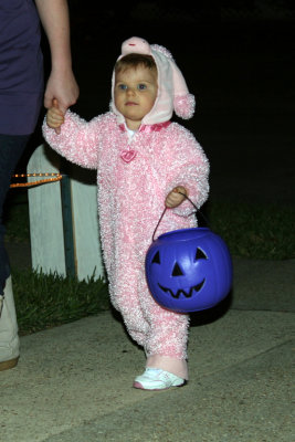 bunny