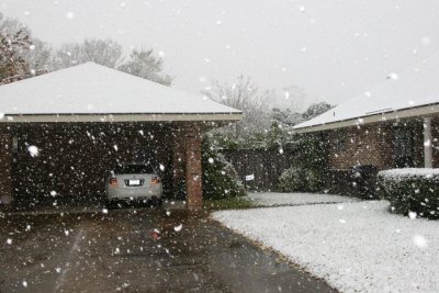 IMG_8382.jpg
