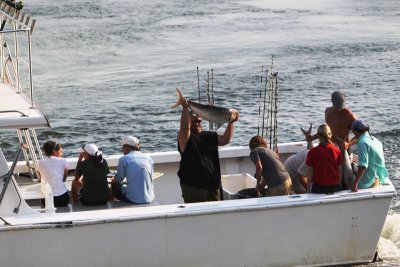 fresh catch