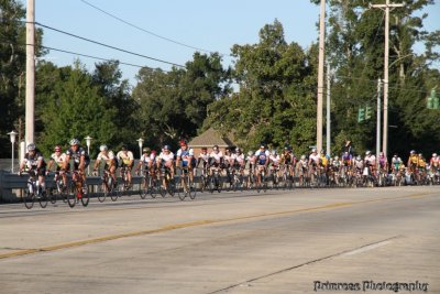 MS150  (18).jpg