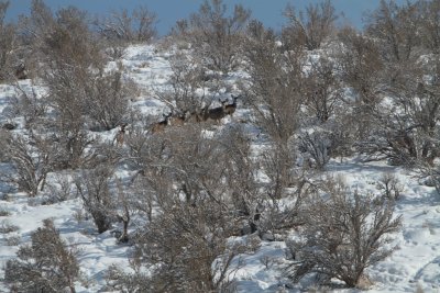 UTAH 009A.jpg
