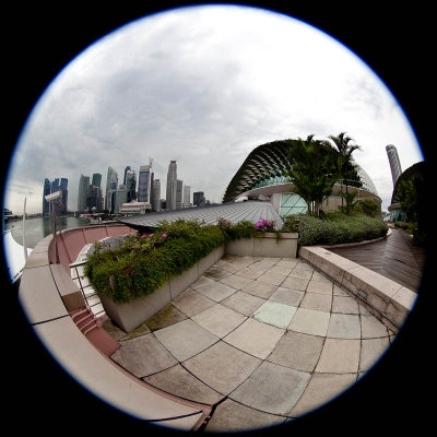 From the roof of the Esplanade Library