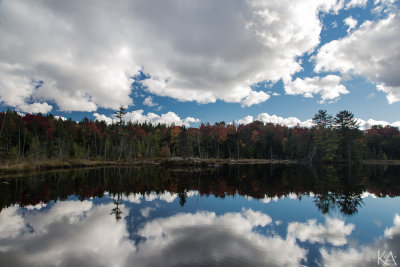 Small Lake - Fern Glen Inn