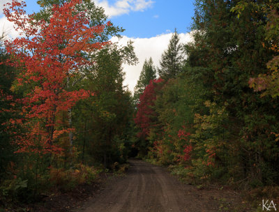 Walking trail to Small Lake
