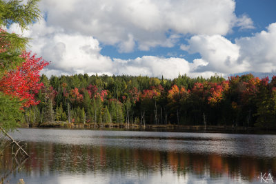 Small Lake - Fern Glen Inn