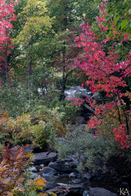 Ragged Falls