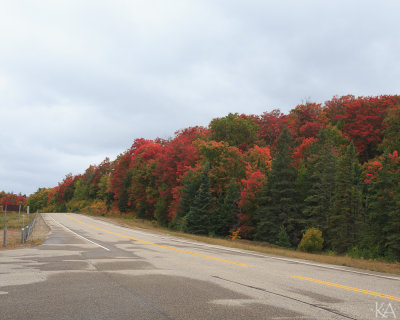 Peak Colour Highway 60