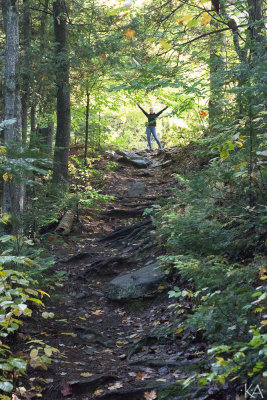 Path to falls