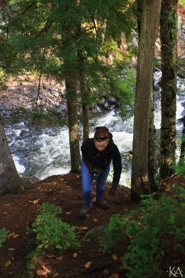Path to Brook  Falls