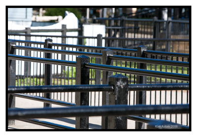 Before the ride opens