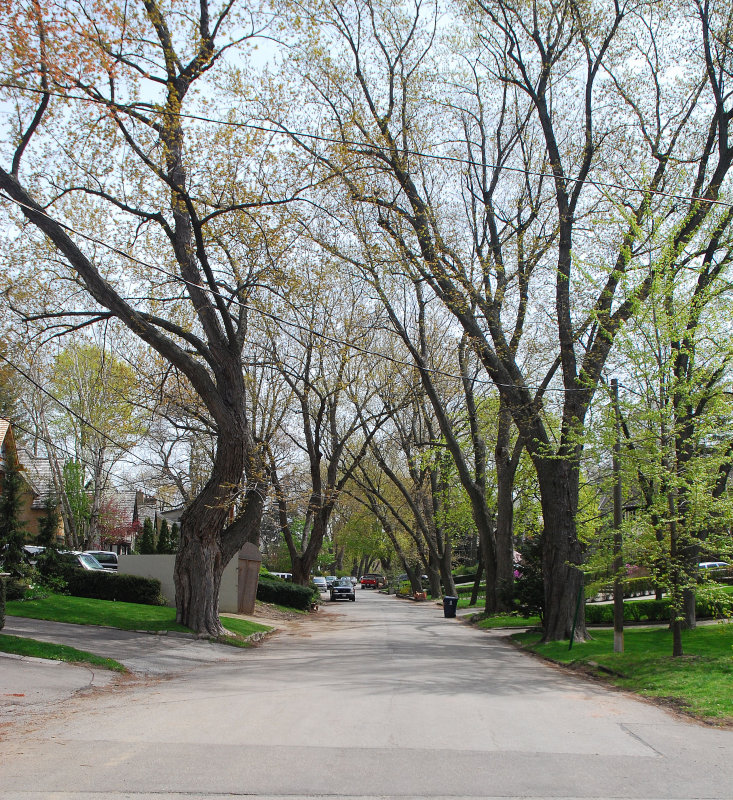Queen Marys Drive