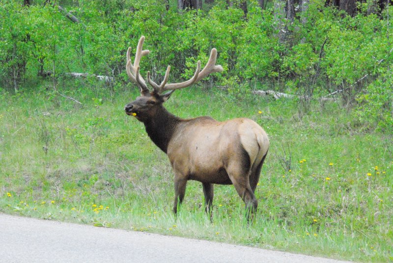 On road 1A