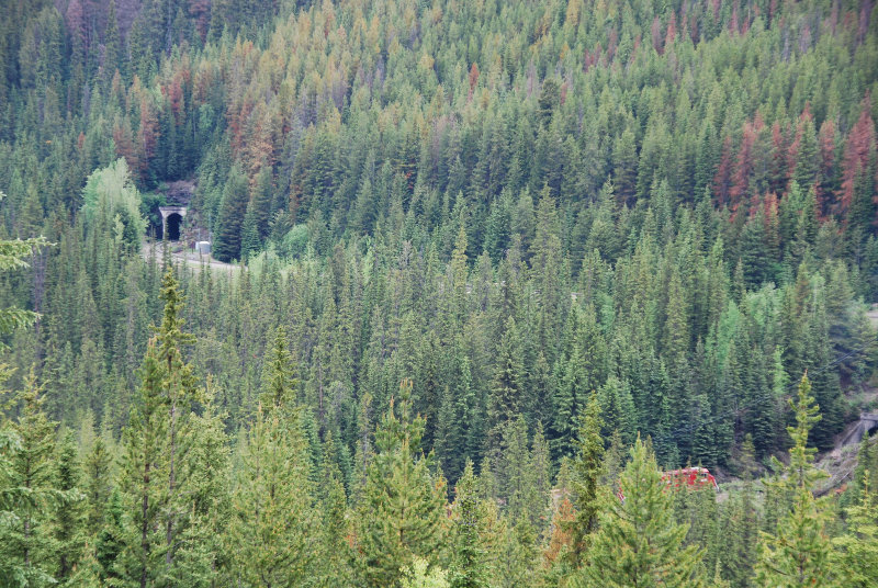 Spiral Tunnels - train in lower right, out upper left
