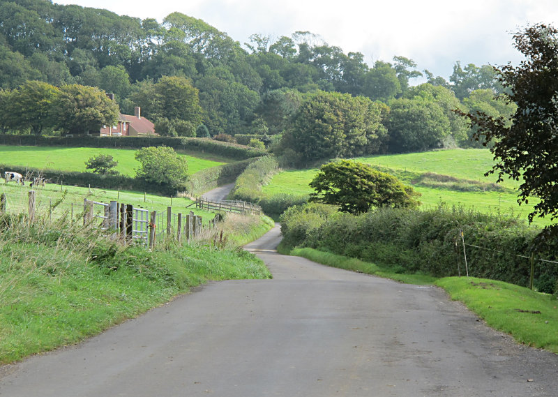 Valley Road 2010