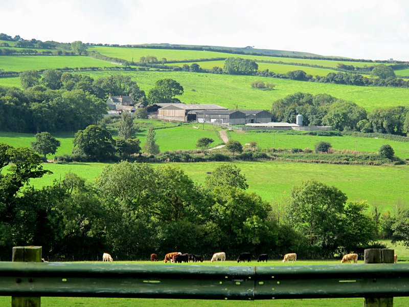 Near Littlebredy